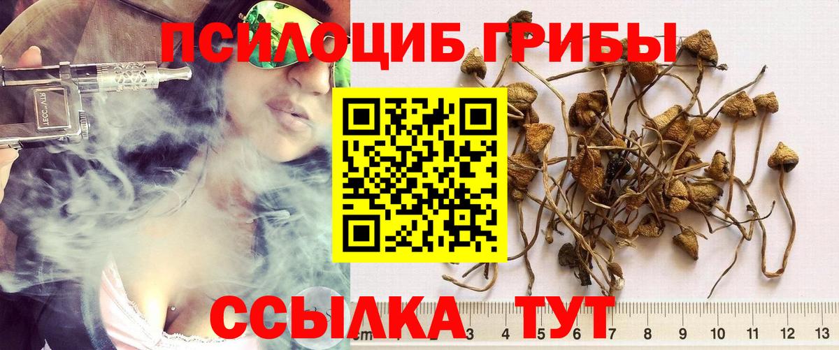 где найти наркотики  Псилоцибиновые грибы ЛСД  Вход с VPN  Надым 